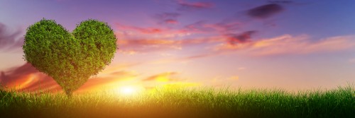 VALENTINES DAY...Because life just isn't complicated enough, is it?